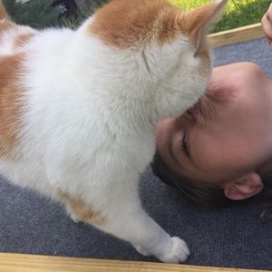 Meet your Posher, Sedy